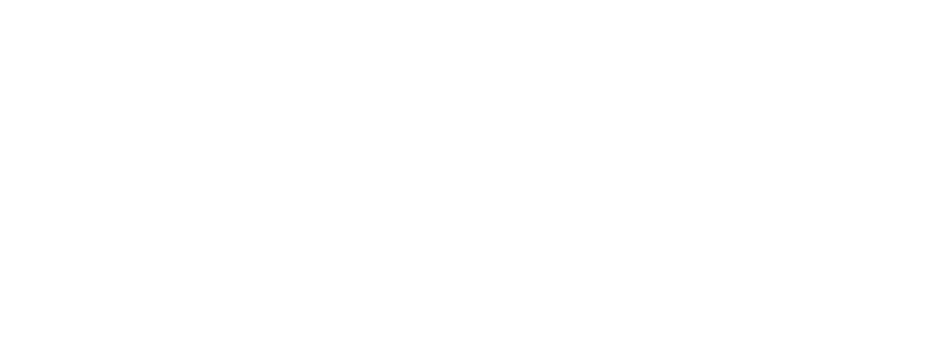 logo ngân vĩnh long express